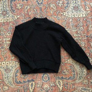EUC Everlane Mockneck Sweater